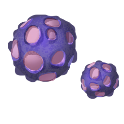 Spores